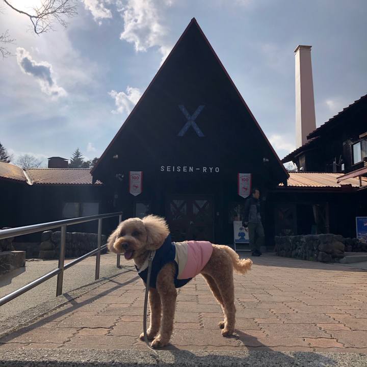 0492a537 aff8 4a18 b980 ec6076a06e63 1775434310673