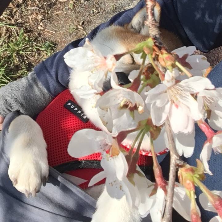 0492fff1 abb5 450e 8803 c34104bbadb9 1590807819734