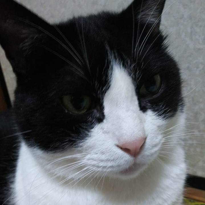 04931012 9d6b 4795 a06f 5c3948581fb9 1537623262882