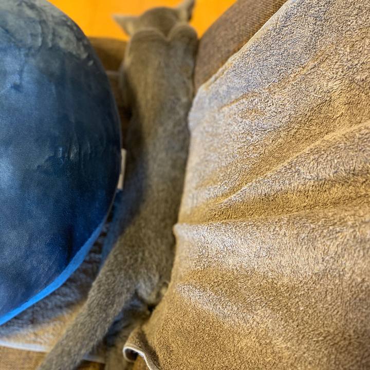 049313f6 7c43 4bcf 8eb0 51aa1ae09373 1597379624650