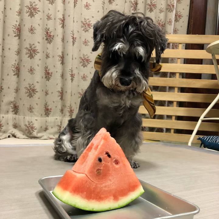 049314ba 604c 439f 803e ec2aa55056d2 1628430334584