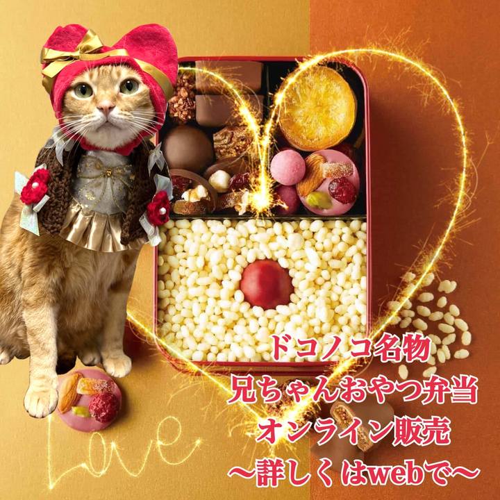 04932644 e990 429f 8994 4a0472d87949 1644792683216