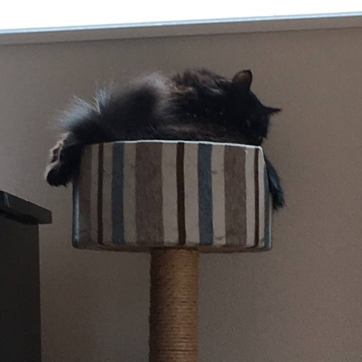 04936201 69a6 446d 9155 05501188027a 1535757623000