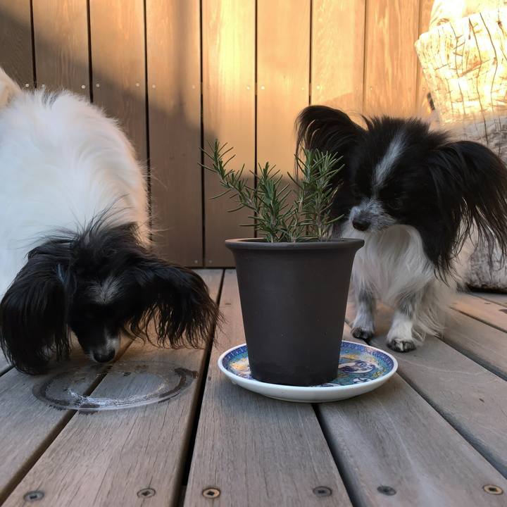 04938fca 3ec0 4c19 81c7 69160a90d82f 1549068672821