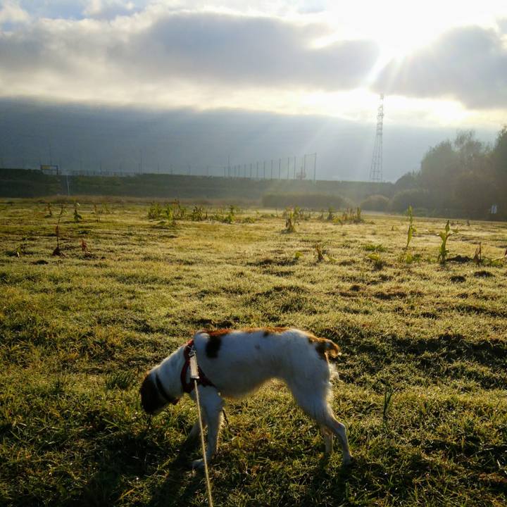 04939659 38a8 4ce1 ac4b f314d2894852 1541377421273