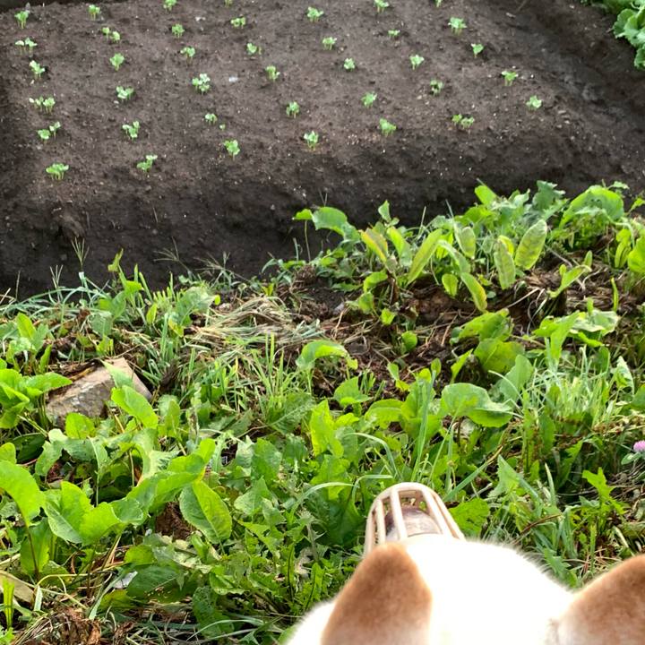 0493b006 6cb9 43b1 8738 6301280ae7dd 1660163531188