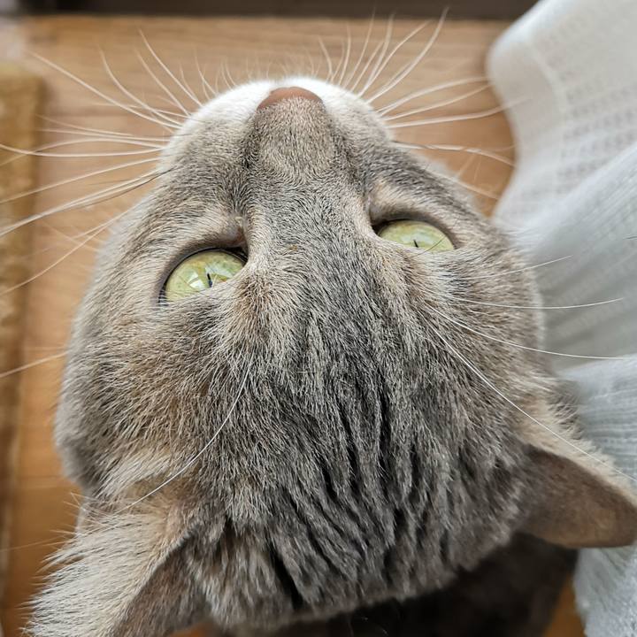 0493b666 9ee7 4c7d b1ab 51a627fe2d89 1596080680063