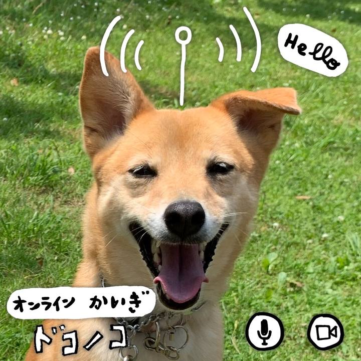 0493d87e 50a9 4c9e 98ec 491f70898e9c 1593535216526