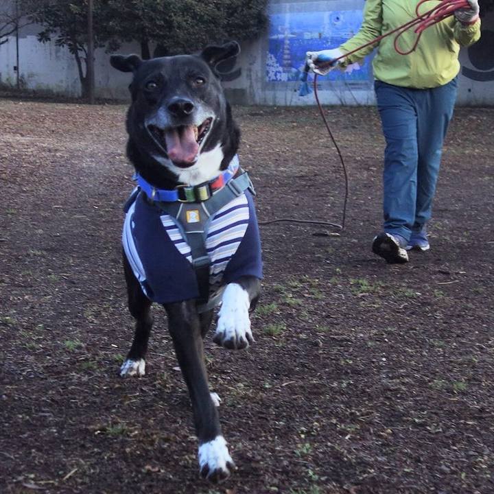 04941dd7 ad94 404e aeb3 9a66233908e2 1705976117955