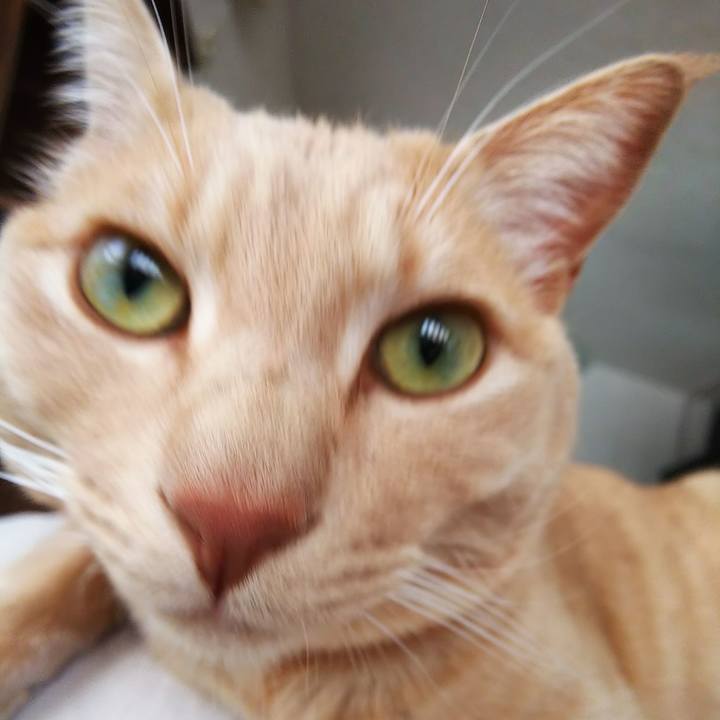 0494237e a4ba 45d1 95fa 88359a4864f1 1576367871190