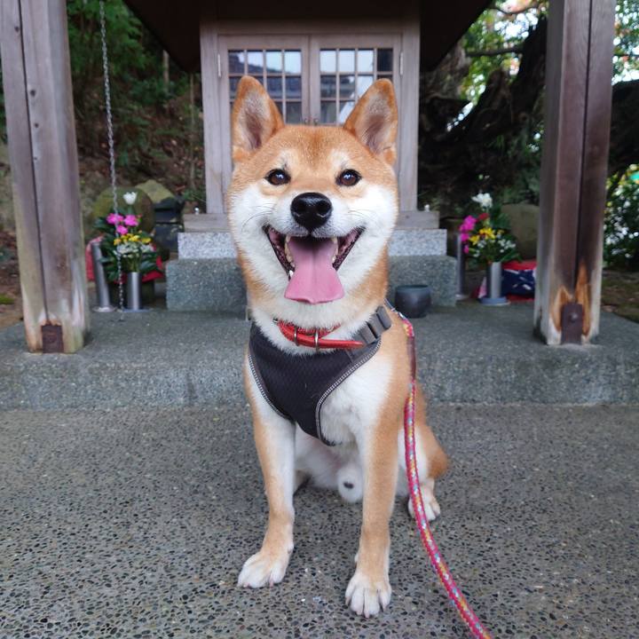 04943c8d 1c0d 4255 a9ac cc67dc907bd1 1760229405074