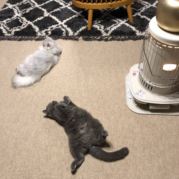 04949774 14ed 4487 9f60 a3089aa0cecd 1574424945419