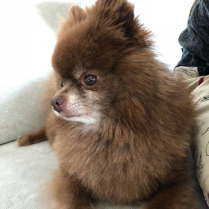 0494dd65 6087 4858 abd2 44a1b395c34b 1534118588007