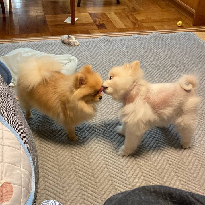 049506bd eab2 49e9 83b5 08ff06861640 1685275747614