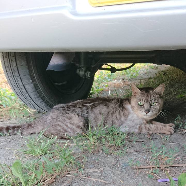 04951a5b 9d6b 4a66 bafe 39ed7815a017 1598779186804