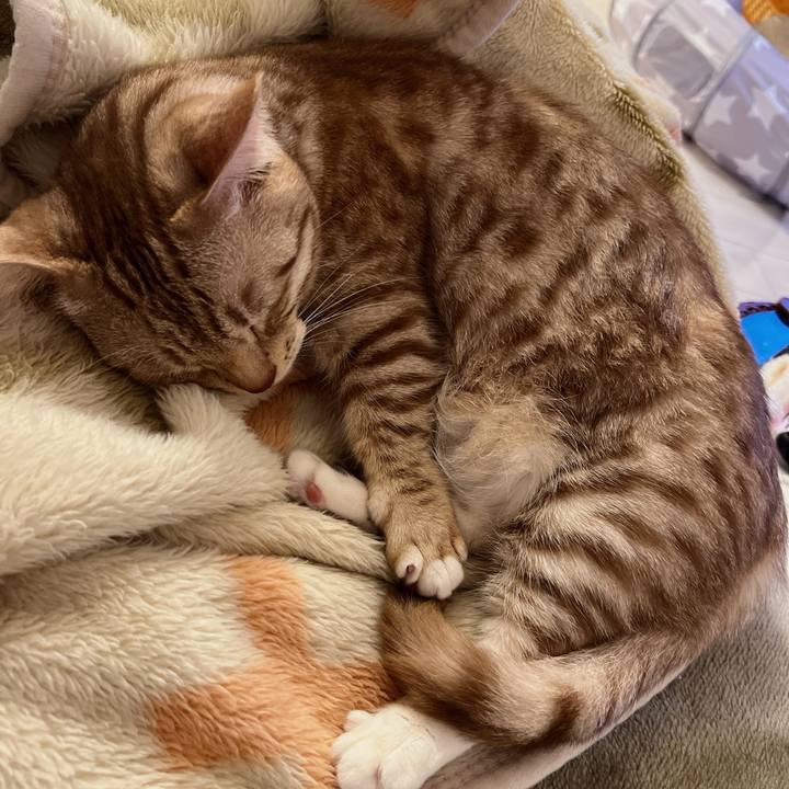 04953e62 b318 410a 938f 459b51e2fb85 1682774864942