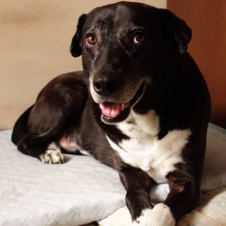 04953e64 7b6f 43e6 b23b 9de58d96df31 1750809015190