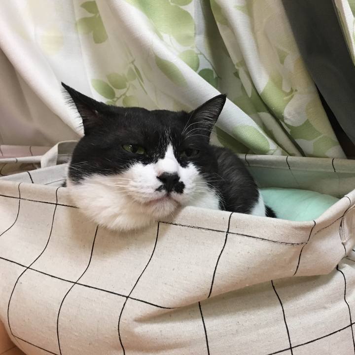 04955443 1189 4aba 8d3c db75f000ac1b 1541599537896