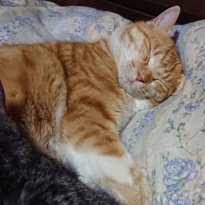 04956653 04ff 418a 837d 5098140d49d1 1579350174577