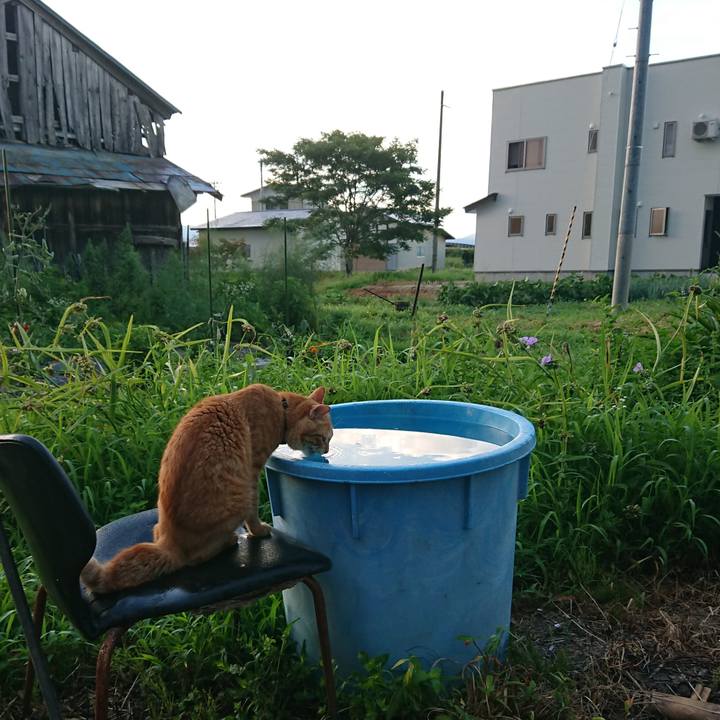 0495bc73 9fcd 486b 94fb 0a449aa44d1e 1659388225290