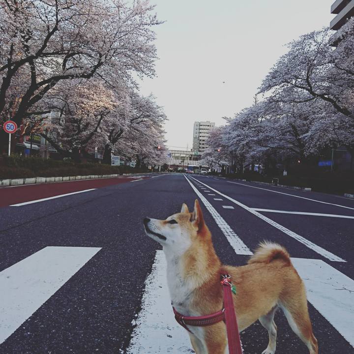 0495e008 fff2 4bee 96ed 46e4edd9aba5 1522122512517