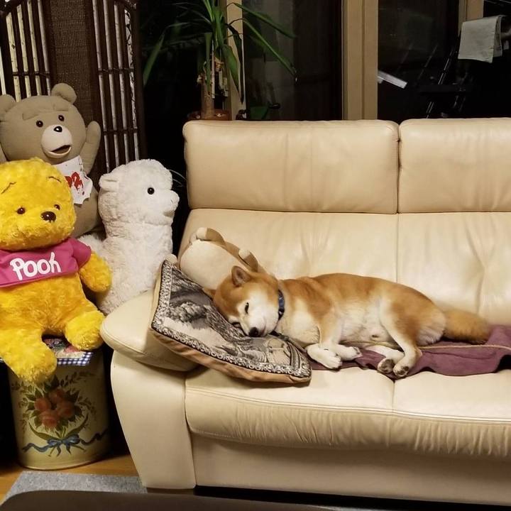 049640d3 751b 46b7 8d75 ace70cce3ca6 1572167381774