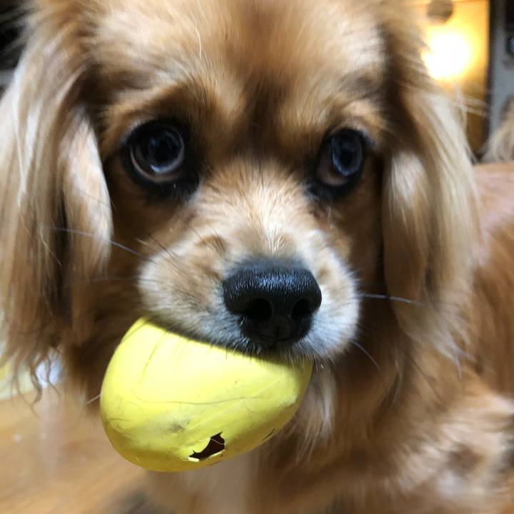 04969e2f f441 4d28 b5d4 16448d1f81be 1524958560459