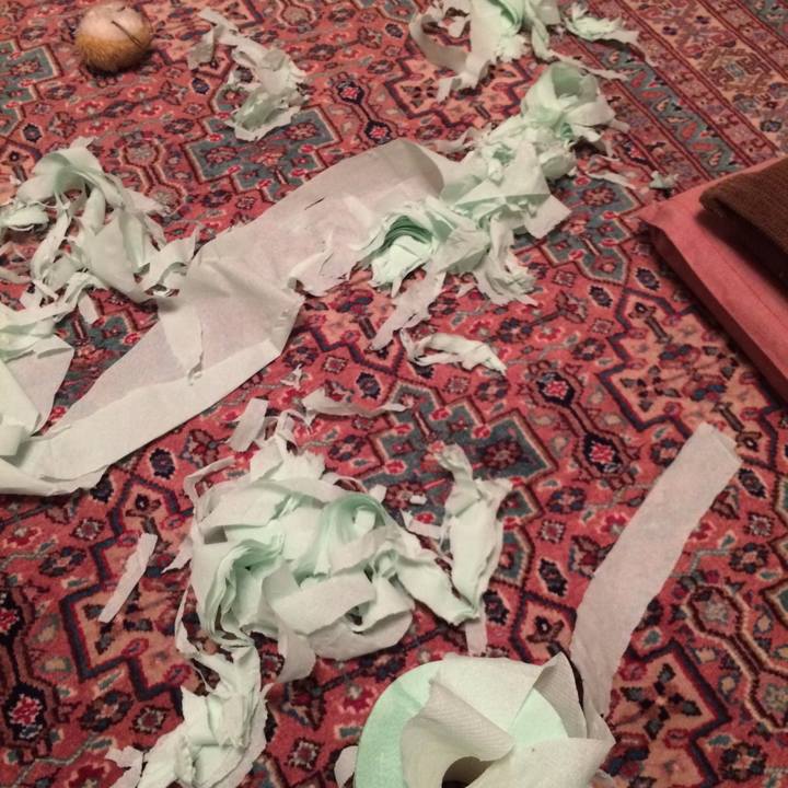 0496b752 3fd5 4b62 9d5c bb03b381e869 1542700484090