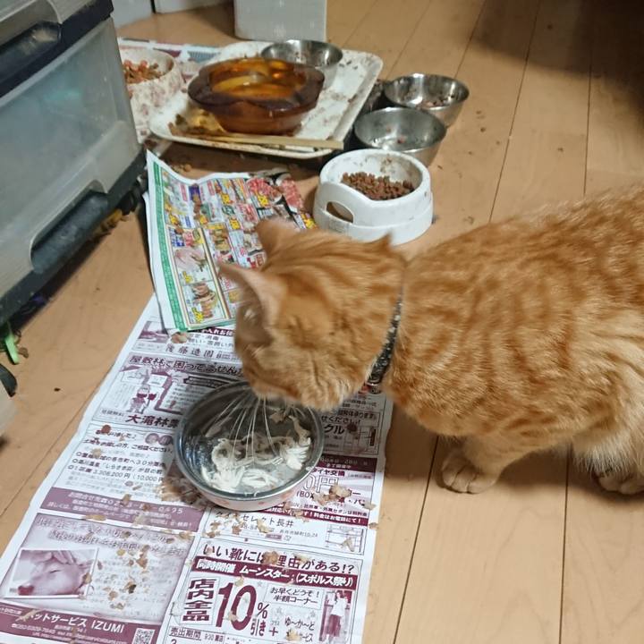 0496ba54 057d 4317 81f9 b52fc379e89c 1649066140987