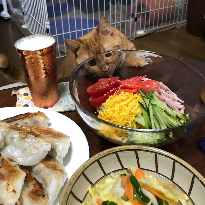 0497407b d58d 45dc 9627 24935fdcf150 1528977116290