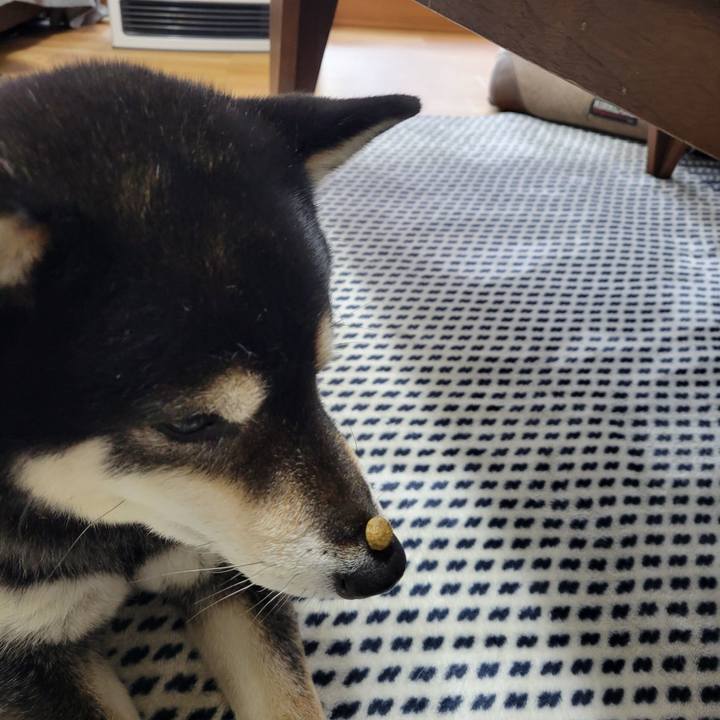 0497441a a61d 4cc3 a925 f933a44d592b 1773024979118