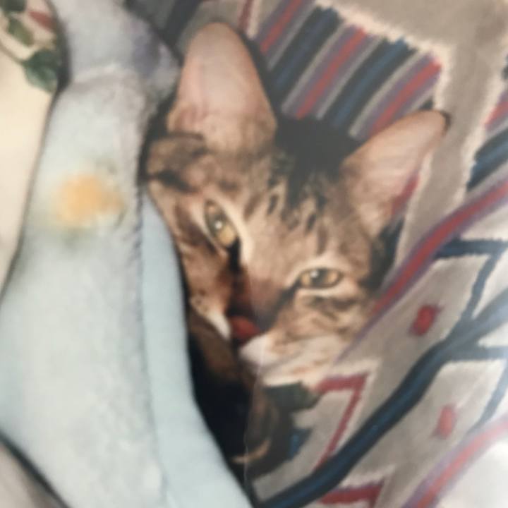 0497601f 5d0f 4b71 a10b ee8b8c0a6f8e 1593836864884