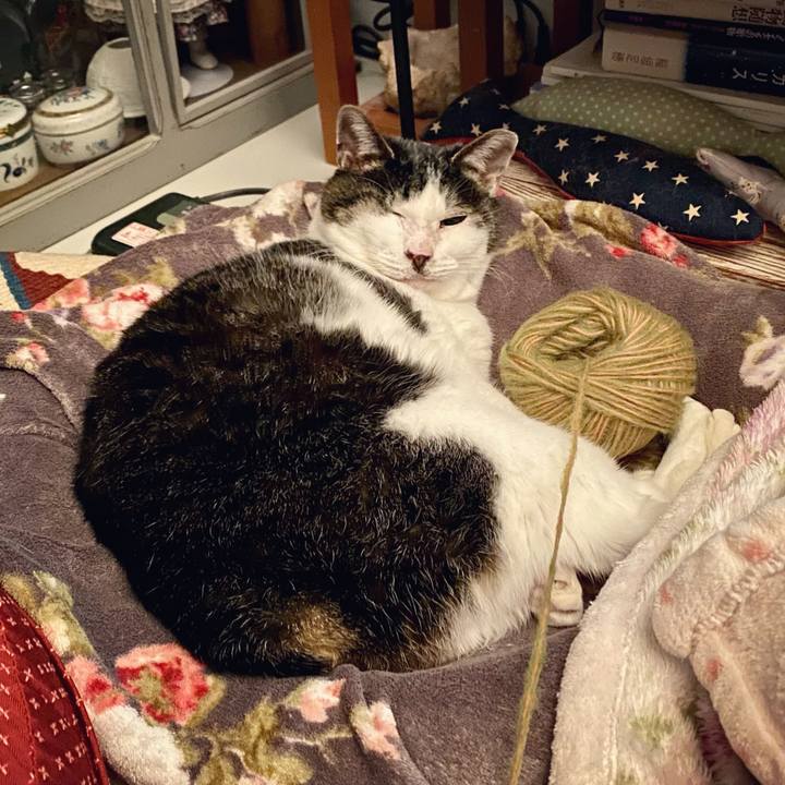 04978927 bec5 435f af93 7cc34029de39 1641565685948