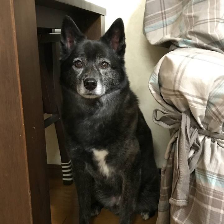 0497a208 bcd6 4783 abf4 aea48385562c 1523968534677