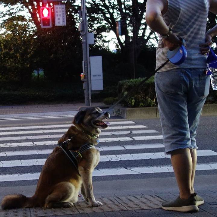 0497c714 8368 4077 b8d8 97526ce5cba1 1530453854451