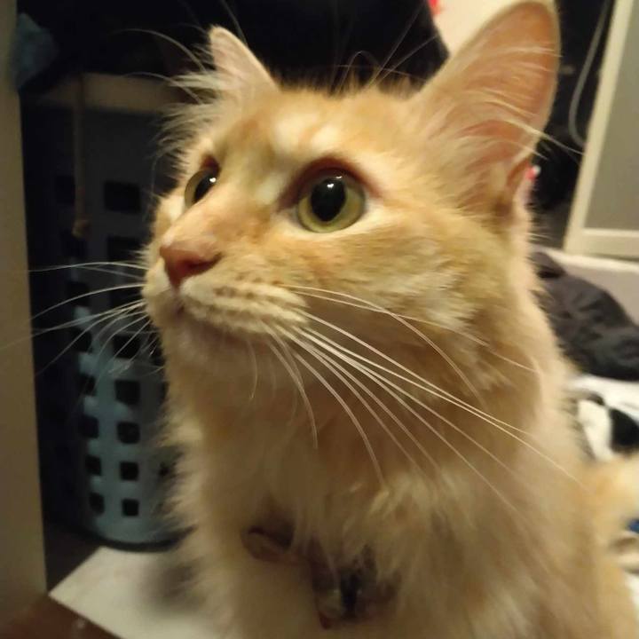 0497d5bd 6668 4f2c 8e2e 2c7928bfa5d9 1690026823832