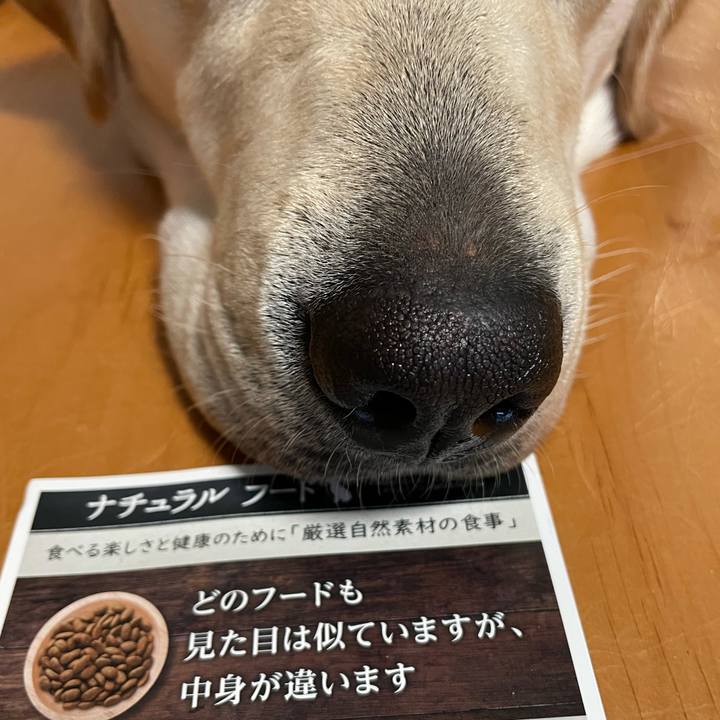 049806b9 6c8f 45c2 9caa 48259706bb29 1633783308021