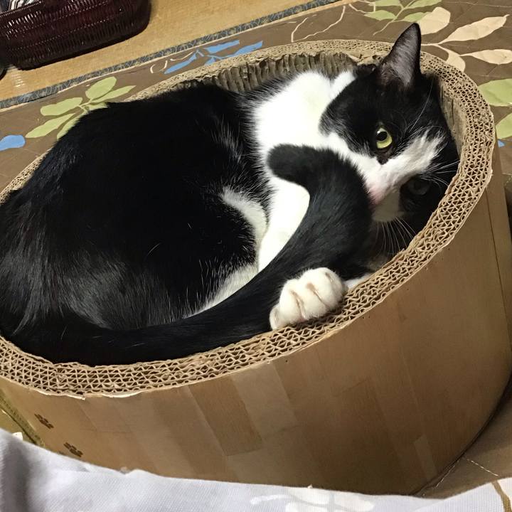 04982886 c646 4914 9ef5 c1ae4345d25d 1732958117986