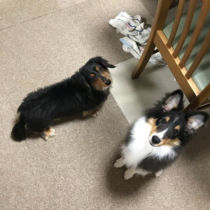 04984051 1b0c 46a1 8fc6 6eb7cc26c752 1516223184132