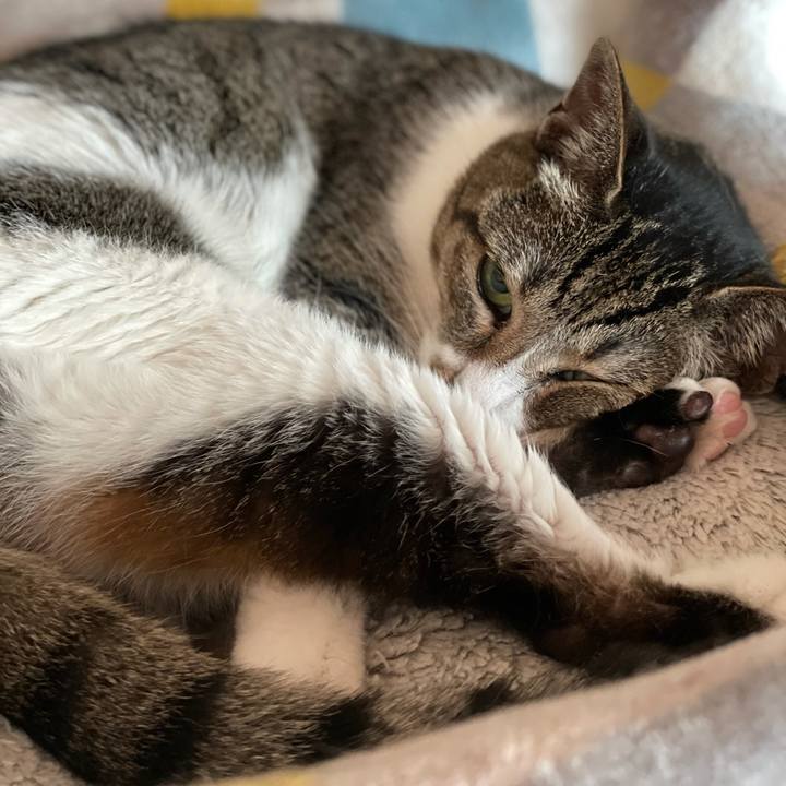 049847ee 0843 444d bc6f 2b67738e3130 1627342873386