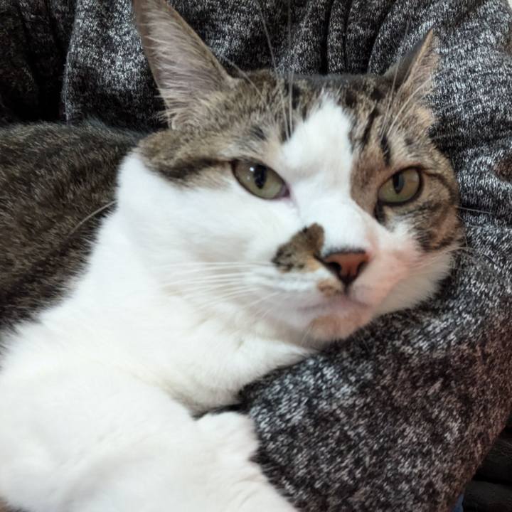 0498adff 8ab9 4e43 88e4 7e3f124c2ec6 1732518053653