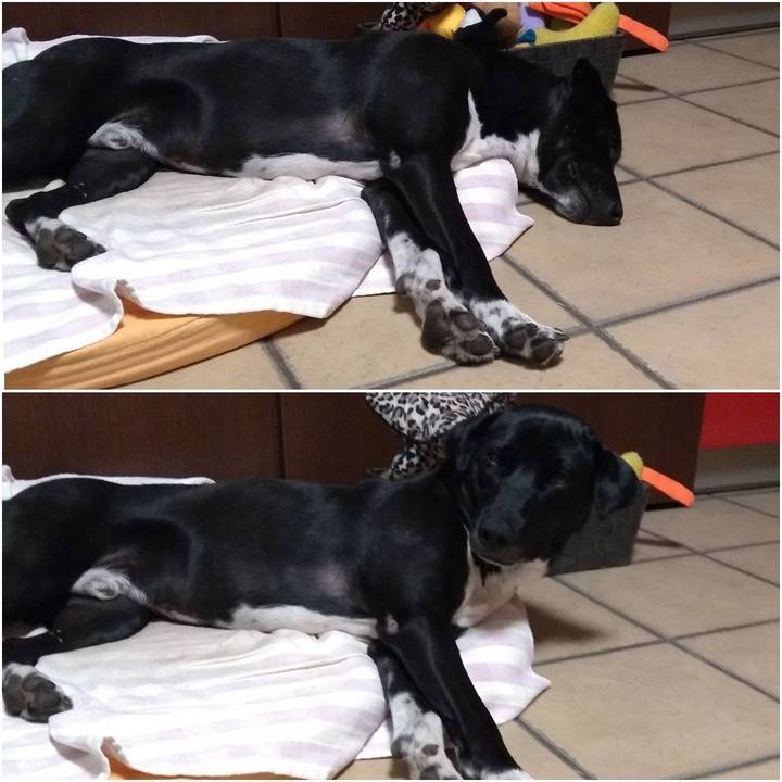 0498c78a 1f06 489f 9ea5 201ebbff8c15 1591834363378