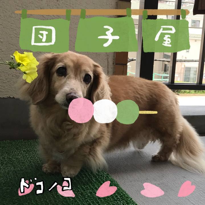 0498d9f1 9a1b 4ab4 8f8d 853431c3bcef 1712283382326