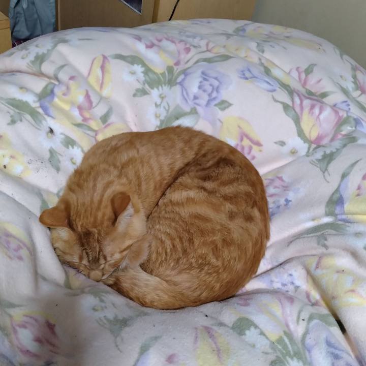 0498f5bc b923 4dbe 88b1 c550949d2712 1667824696901