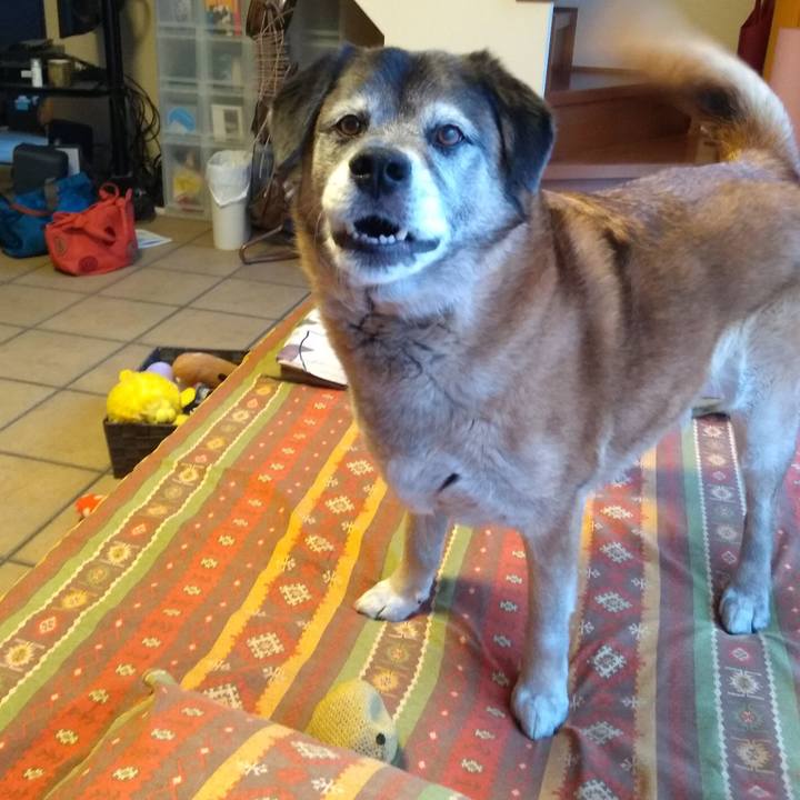 04990aaa fc33 4250 8f1b f16aa9737466 1558602394077