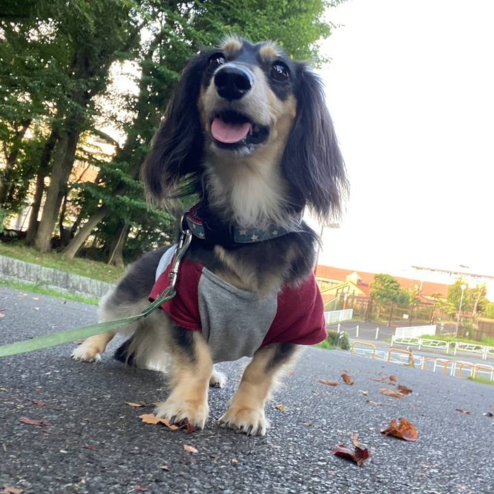 04990c65 38f9 4fa7 8efd 73d306c39851 1758151701815