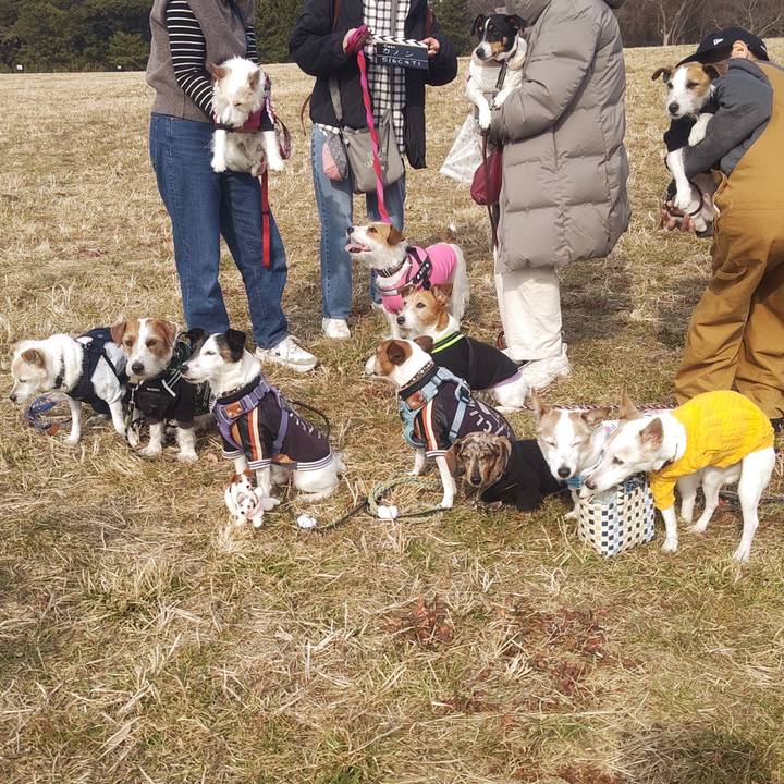 049921cf 0c1b 4926 be90 cb0128bc398e 1771064696167