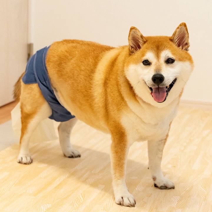 049924da 7560 4d6b bec0 dc59a3e24c69 1702090802060