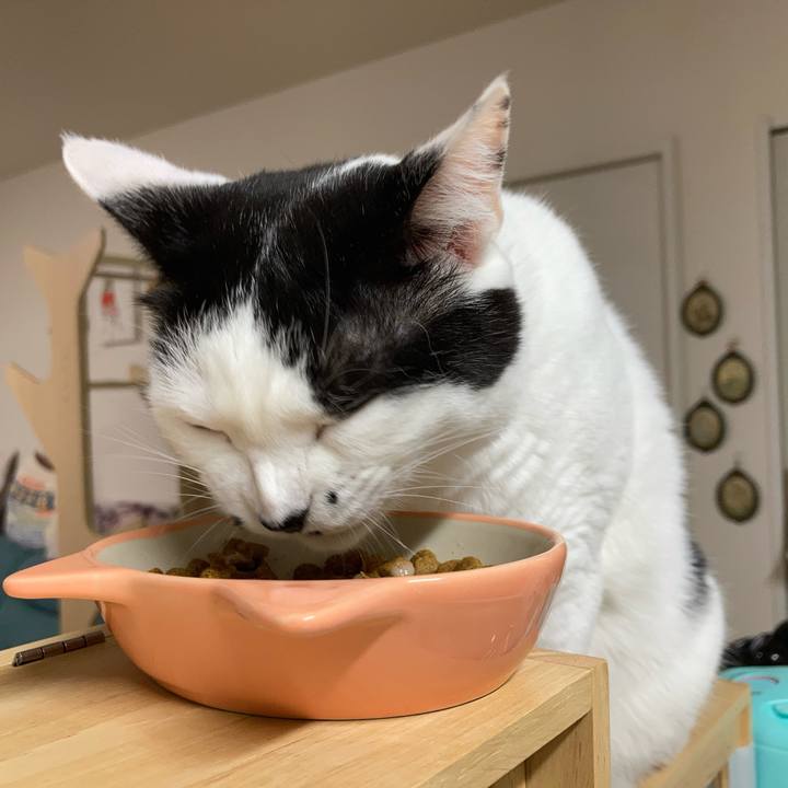 049933f1 a1f3 47a8 b8aa 5b0350ceaa02 1757537362725