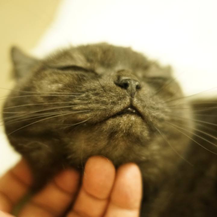 04993ffd 157b 4402 818d 512daf9c3290 1613141131878